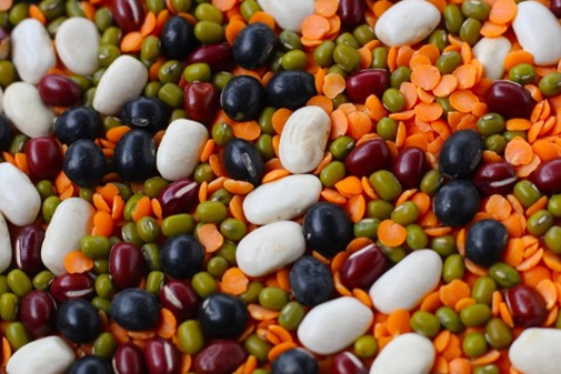 proteine vegetali per proteggere la massa muscolare