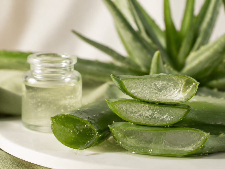 Aloe vera reset intestinale benefici microbiota